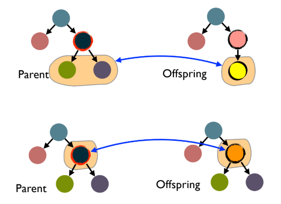 p.18: GP Mutation types (Subtree and Node replacement